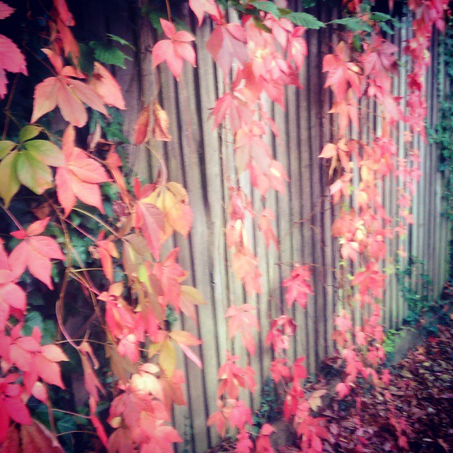 Autumn's almost here...