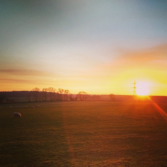 Sunset and sheep...