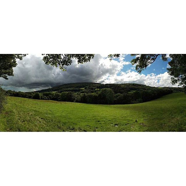 Such great scenery down here in Cornwall!