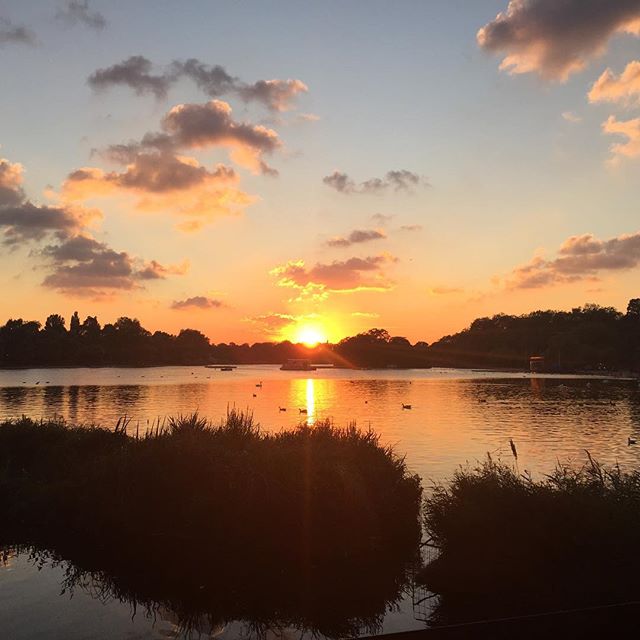 Second great sunset of the week. This time over the Serpentine at Hyde Park.