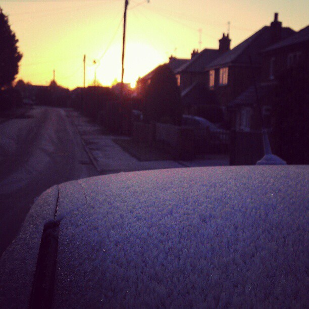 What an amazing morning. Ice on car was standing on end!