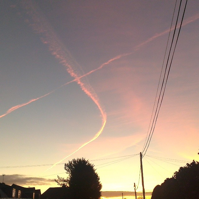 Forgot I took this this morning. Sky was amazing!