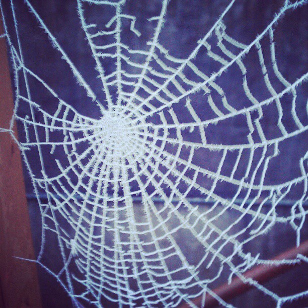 Pic from this morning.