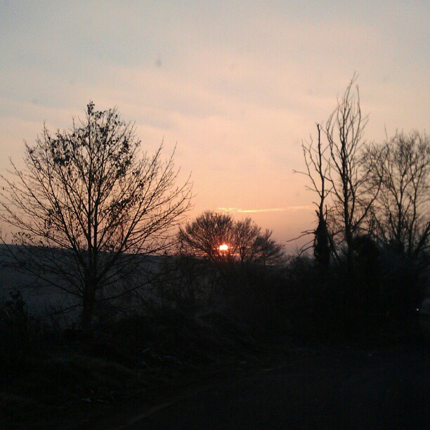 Only minus five this morning. That's better.